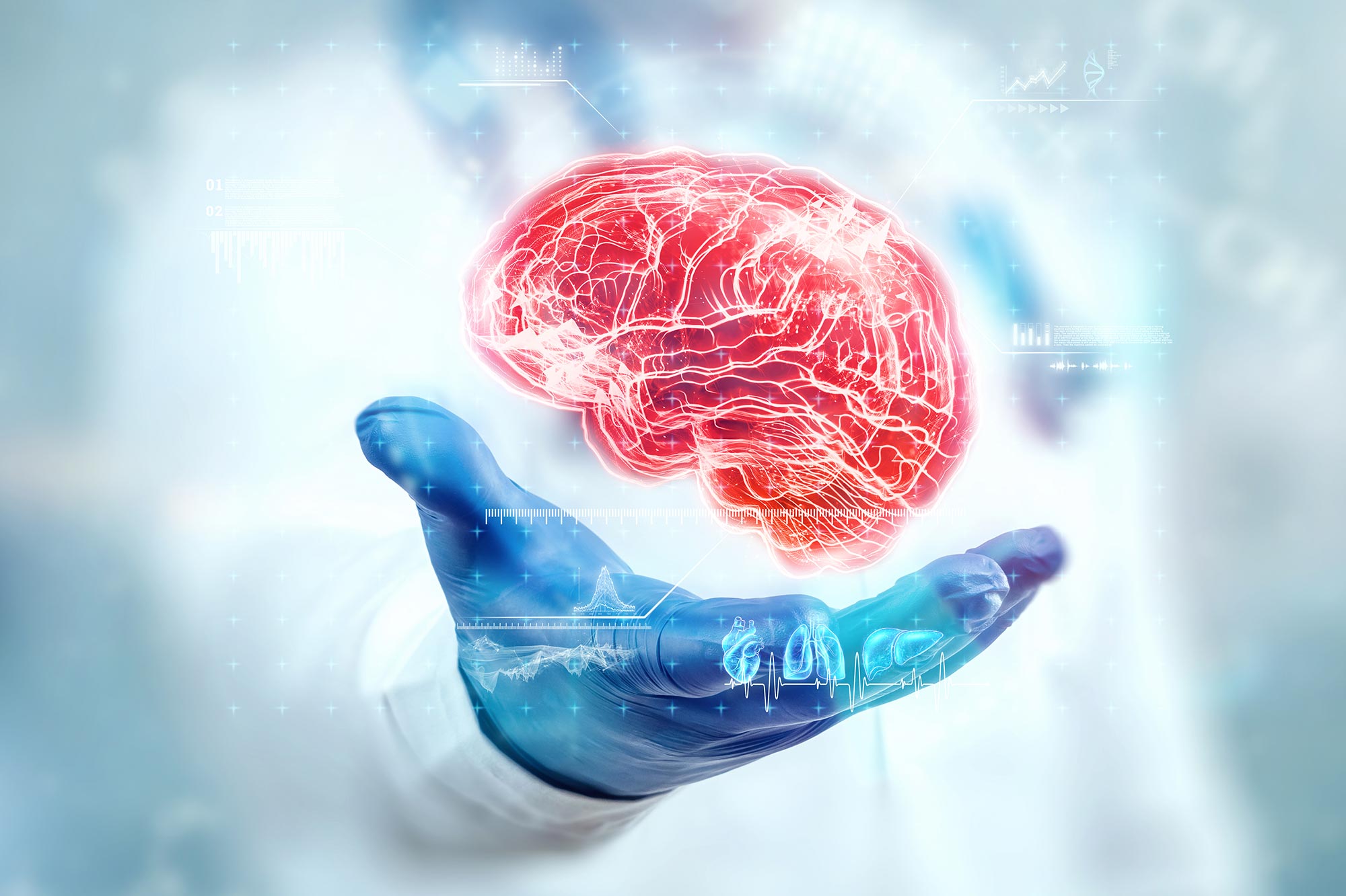 노화는 뇌의 단백질 코드를 다시 작성합니다