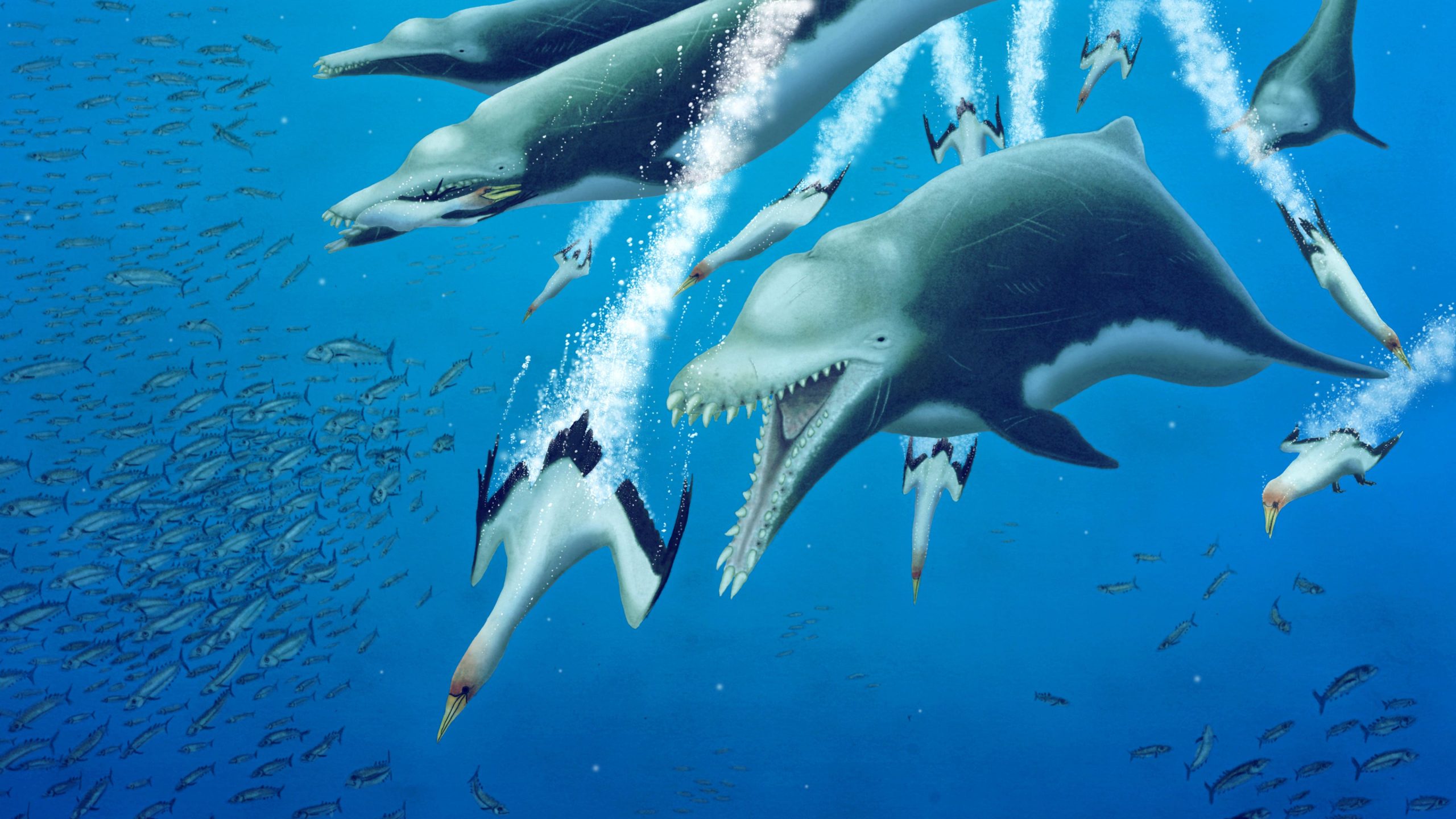 거인 15 '멸종 된 돌고래의 발견은 고래와의 놀라운 평행 진화를 보여줍니다.