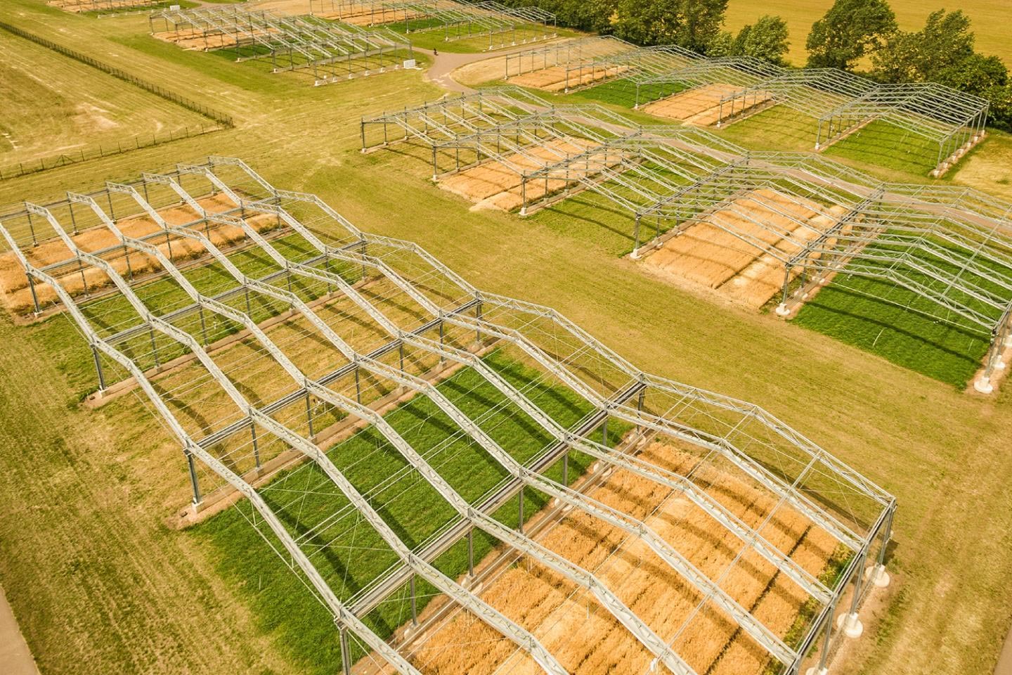 기후 변화의 영향에 필요한보다 현실적인 실험