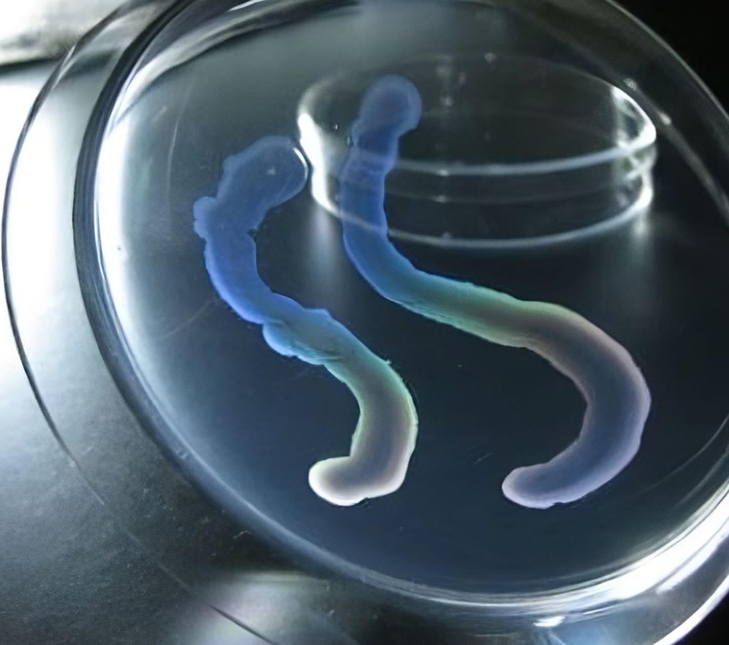 동굴 안에 숨겨져 있습니다