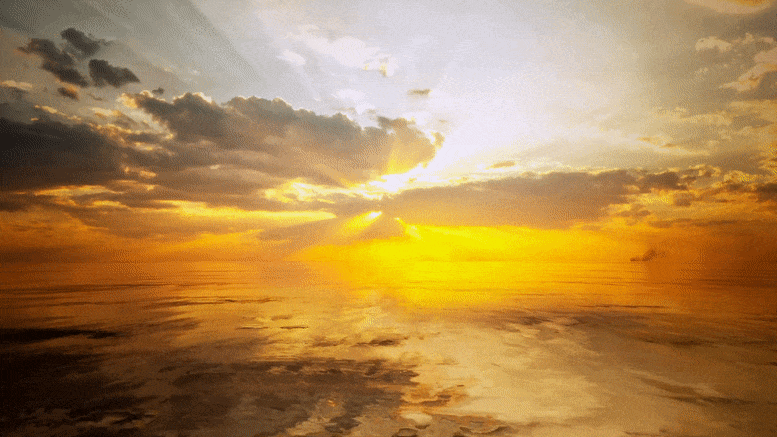 바다의 표면 층을 얇게하는 물이 극한 온난화 사건에 더 취약한 물