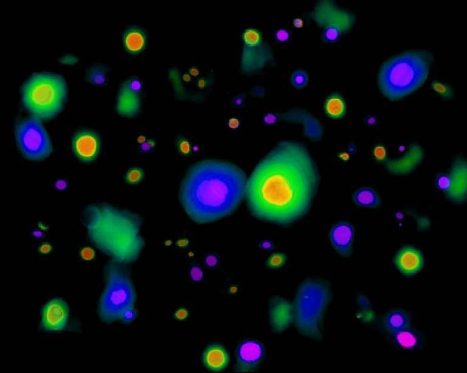 과학자들은 우주에서 우주 질감의 증거를 찾지 못했습니다