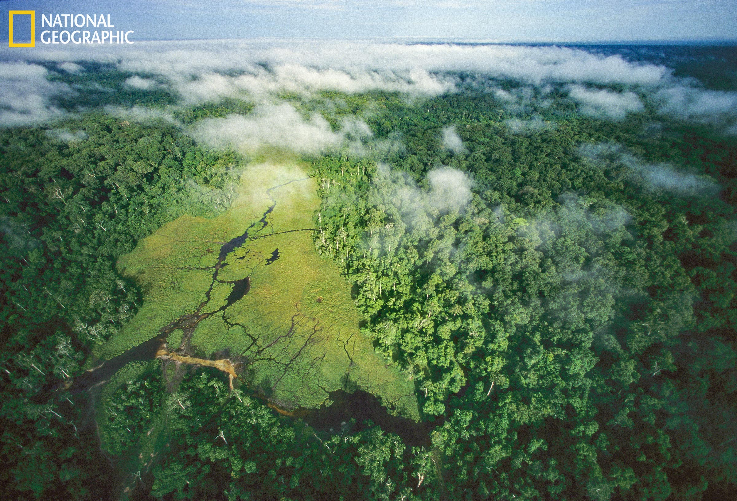 “팁 포인트”를 피하는 데 도움